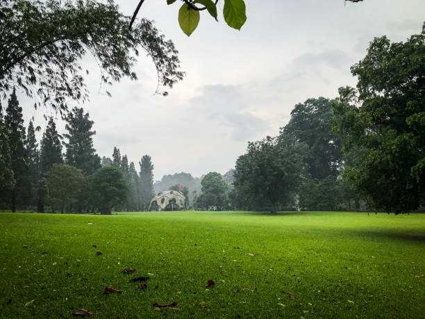kebun raya bogor